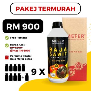 PAKEJ TERMURAH